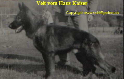Veit vom Haus Kaiser